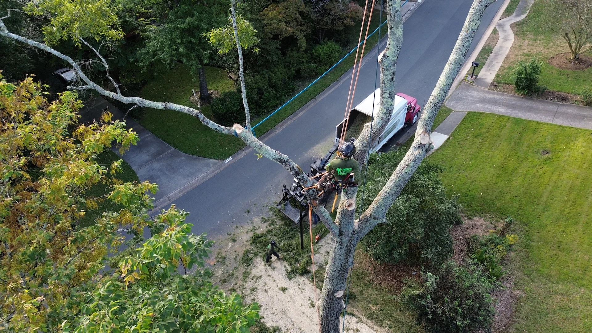 From Local Tree Service to 90K+ TikTok Following